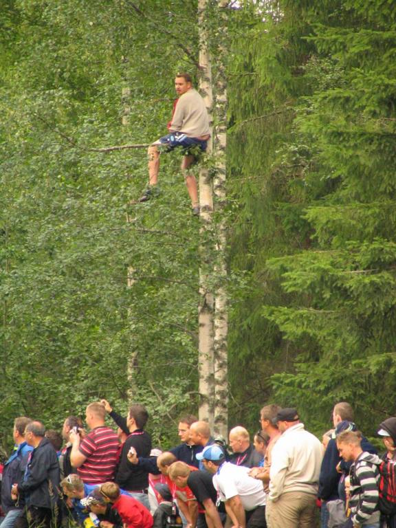 Hyviä katselupaikkoja rajoitetusti