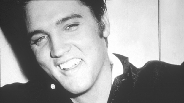 Elvis_982.jpg